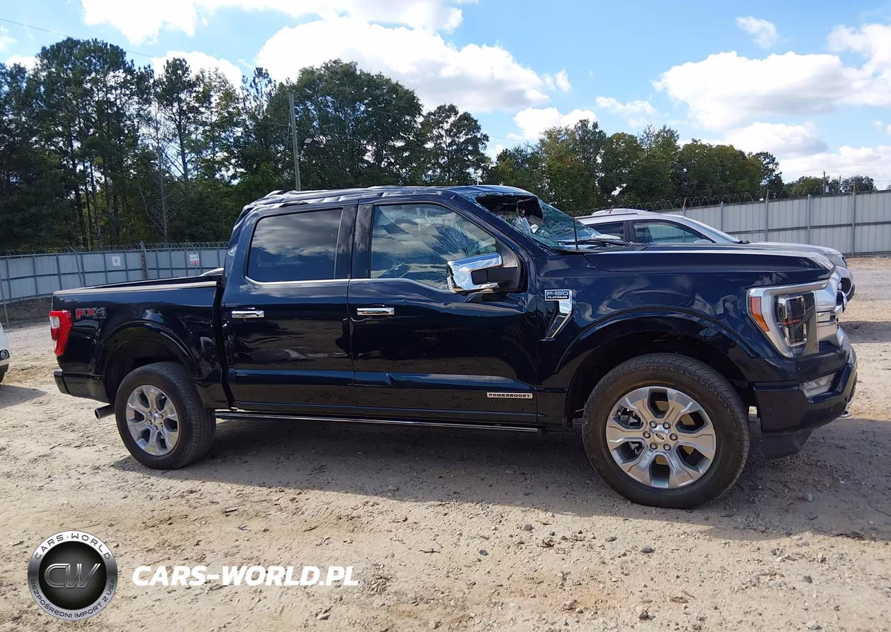 2023 Ford F-150 Platinum VIN:1FTFW1ED9PFB86235 - 13