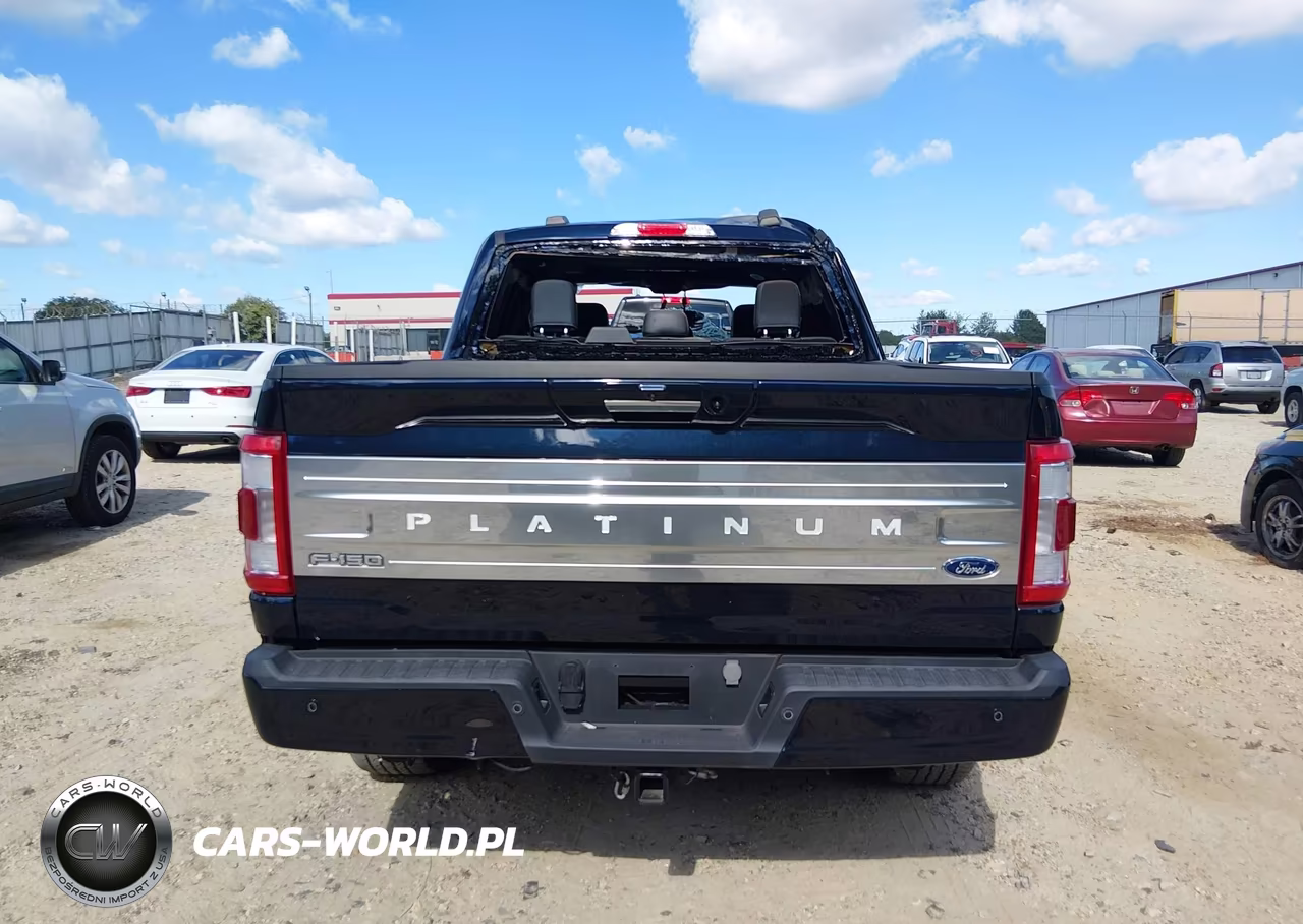 2023 Ford F-150 Platinum VIN:1FTFW1ED9PFB86235 - 16