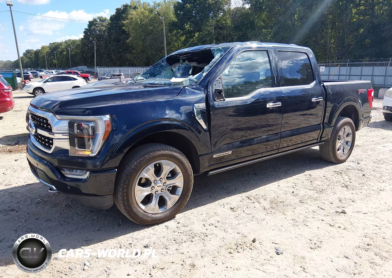 2023 Ford F-150 Platinum VIN:1FTFW1ED9PFB86235 - 2