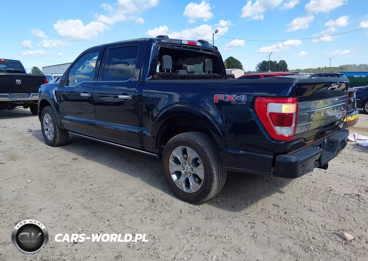 2023 Ford F-150 Platinum VIN:1FTFW1ED9PFB86235 - 3