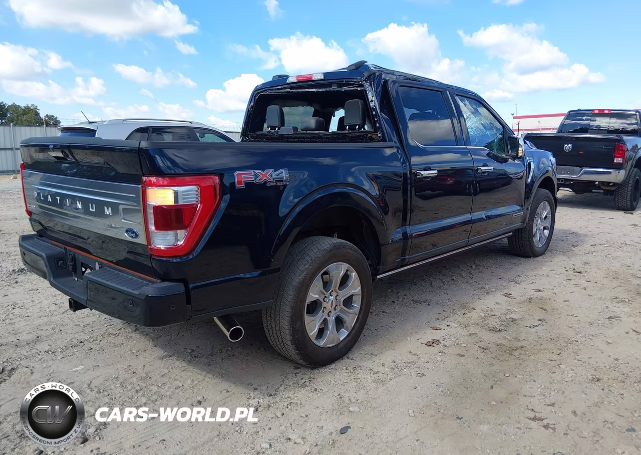 2023 Ford F-150 Platinum VIN:1FTFW1ED9PFB86235 - 4