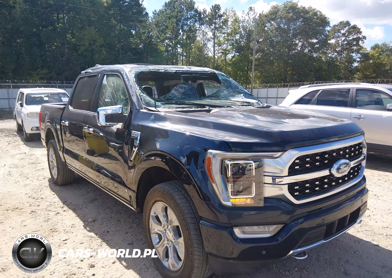 2023 Ford F-150 Platinum VIN:1FTFW1ED9PFB86235 - 6