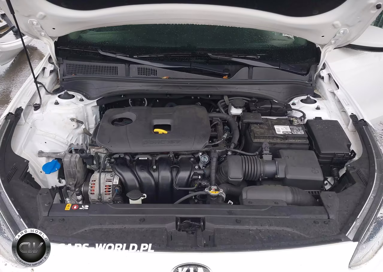 2020 Kia Forte Lxs VIN:3KPF24AD7LE204223 - 10