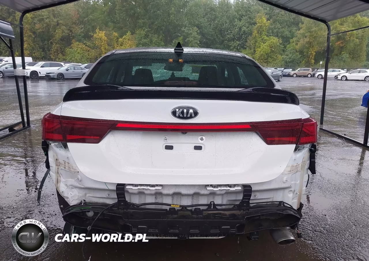 2020 Kia Forte Lxs VIN:3KPF24AD7LE204223 - 17