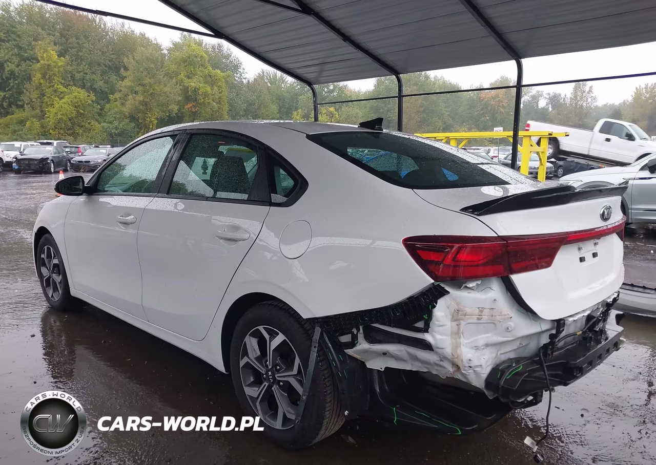 2020 Kia Forte Lxs VIN:3KPF24AD7LE204223 - 3