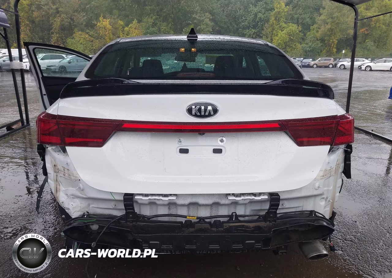 2020 Kia Forte Lxs VIN:3KPF24AD7LE204223 - 6