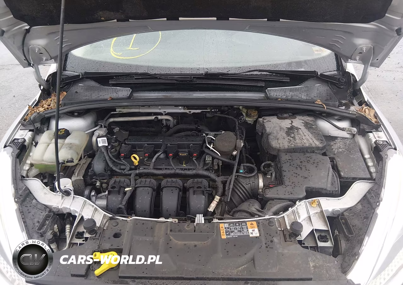 2015 Ford Focus Se VIN:1FADP3F28FL204436 - 10