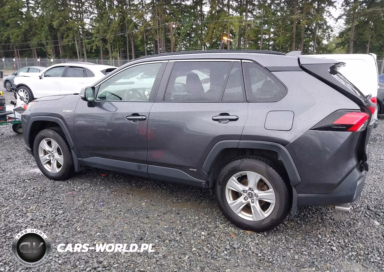 2020 Toyota Rav4 Hybrid Xle VIN:JTMRWRFV7LJ035629 - 15