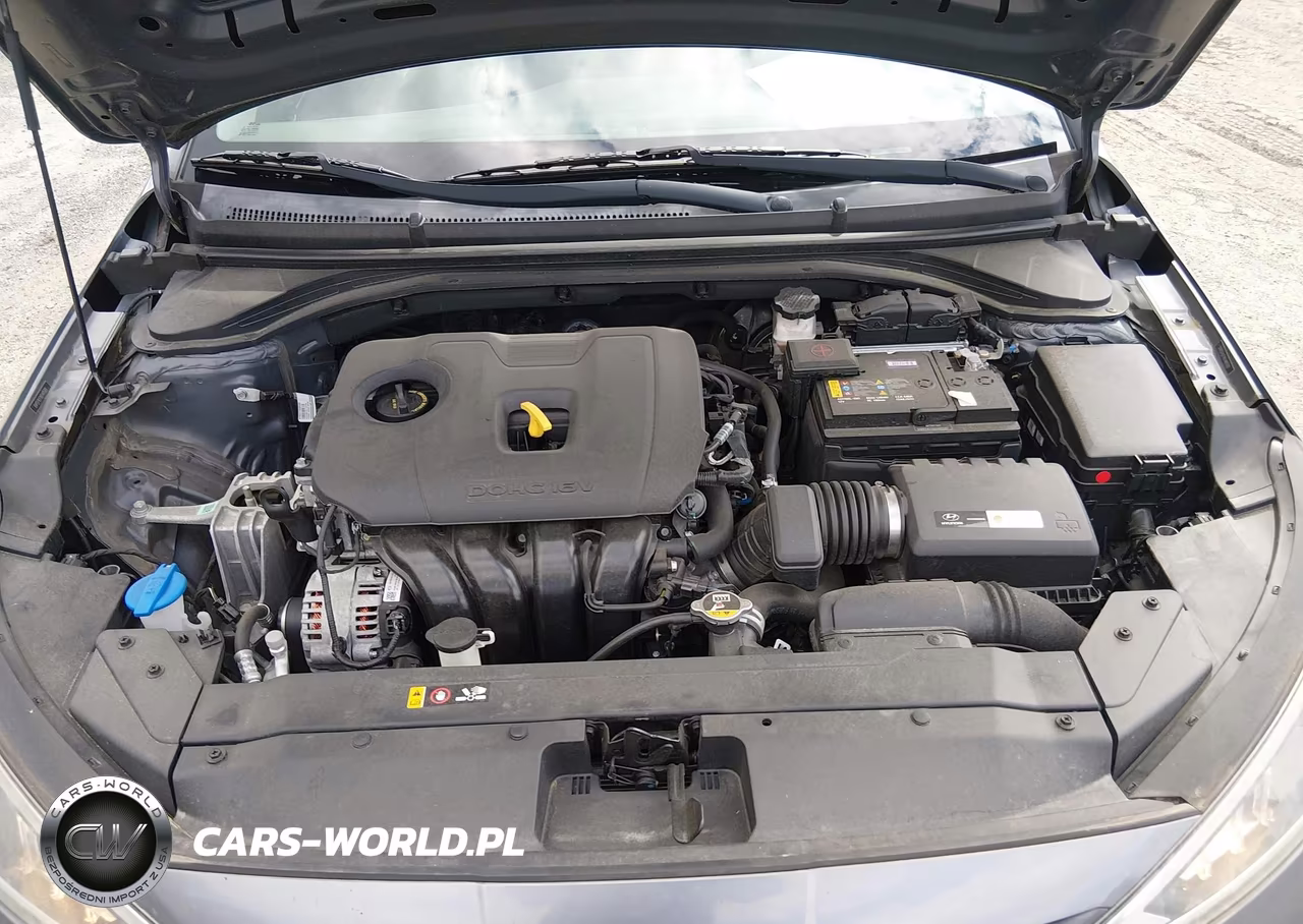 2019 Hyundai Elantra Se VIN:5NPD74LFXKH485001 - 10