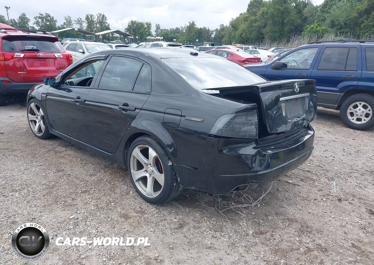 2004 Acura Tl VIN:19UUA66284A055162 - 3