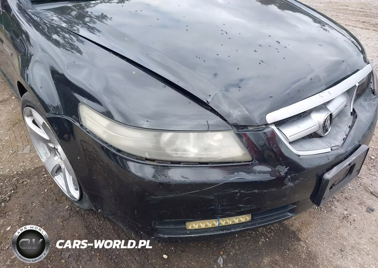 2004 Acura Tl VIN:19UUA66284A055162 - 6