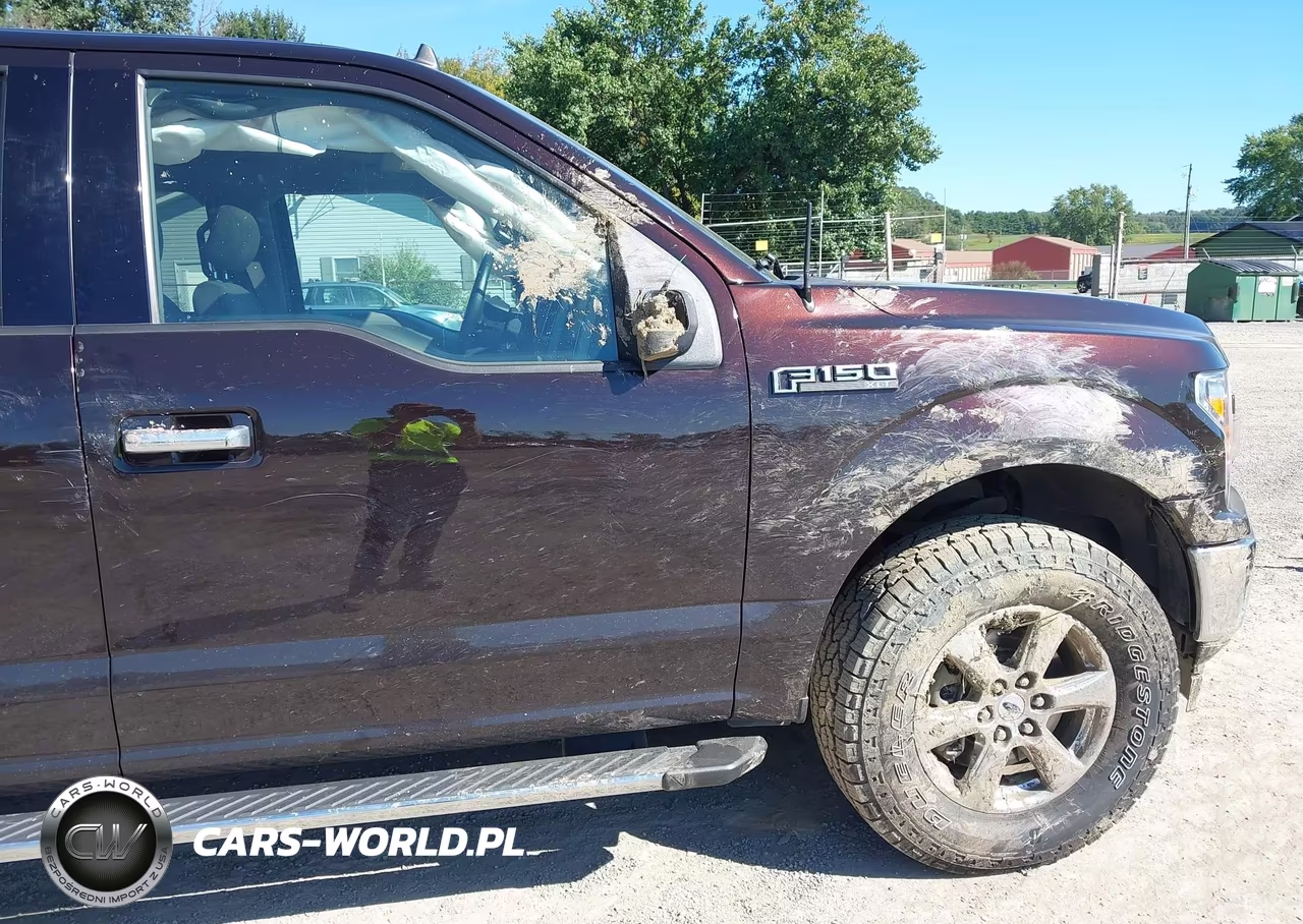 2019 Ford F-150 Xlt VIN:1FTEW1E59KFB89178 - 17