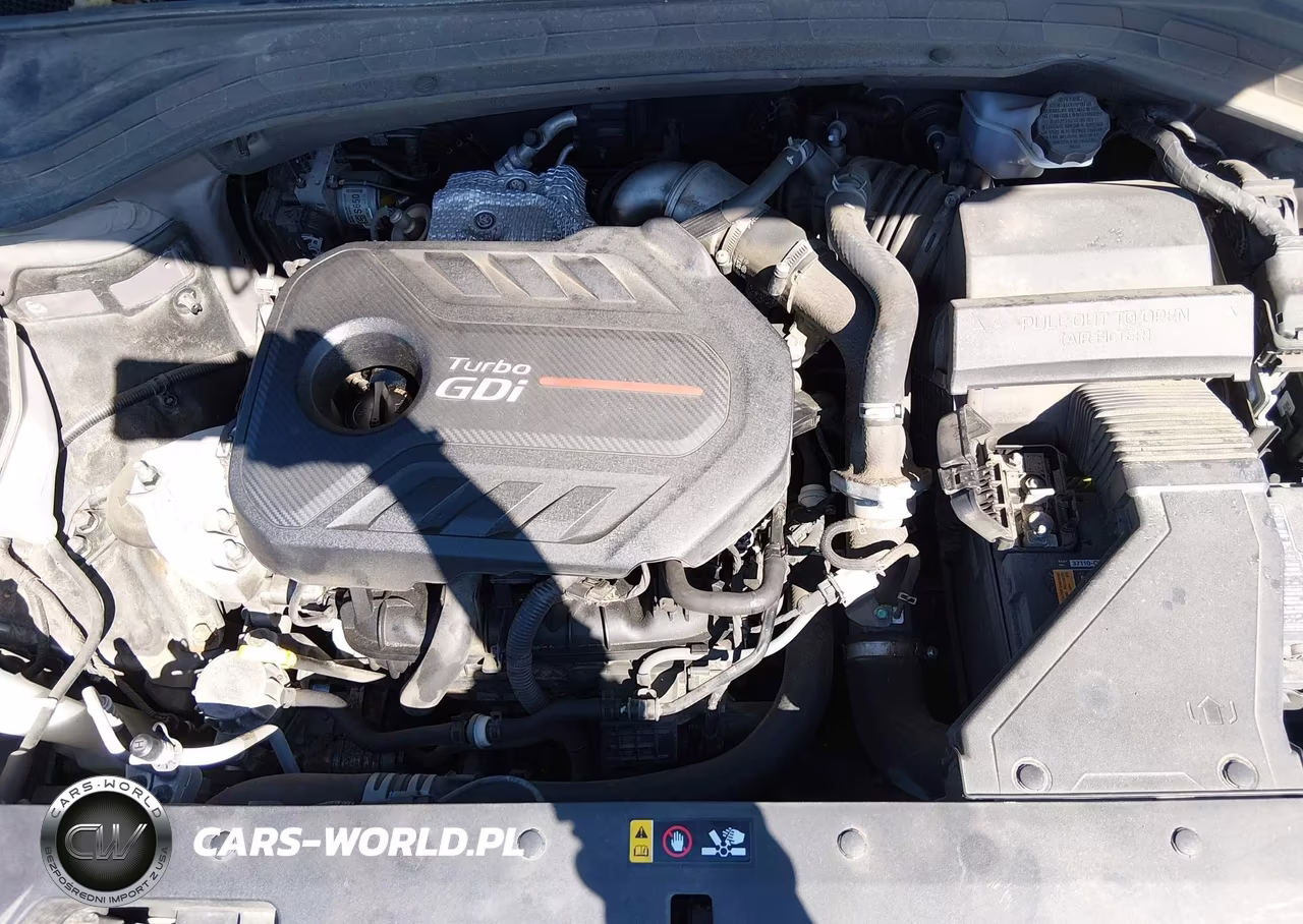 2020 Hyundai Santa Fe Sel 2.0T VIN:5NMS3CAA1LH143035 - 10