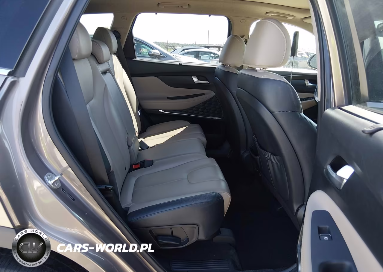 2020 Hyundai Santa Fe Sel 2.0T VIN:5NMS3CAA1LH143035 - 8