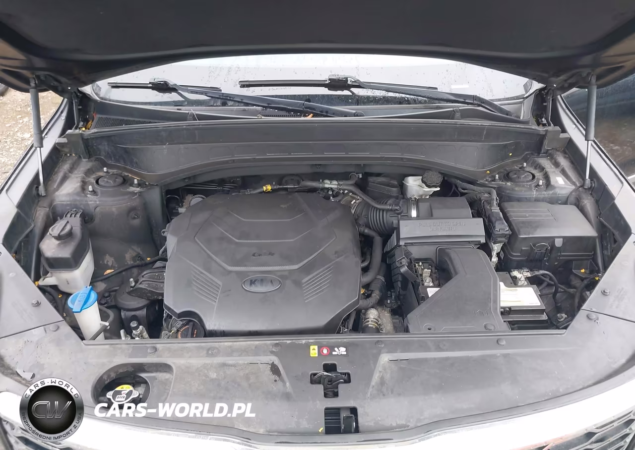 2020 Kia Telluride S VIN:5XYP6DHC7LG044143 - 10
