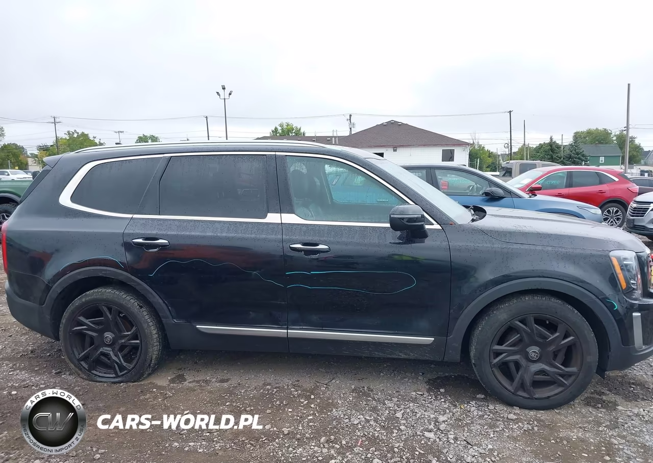 2020 Kia Telluride S VIN:5XYP6DHC7LG044143 - 13