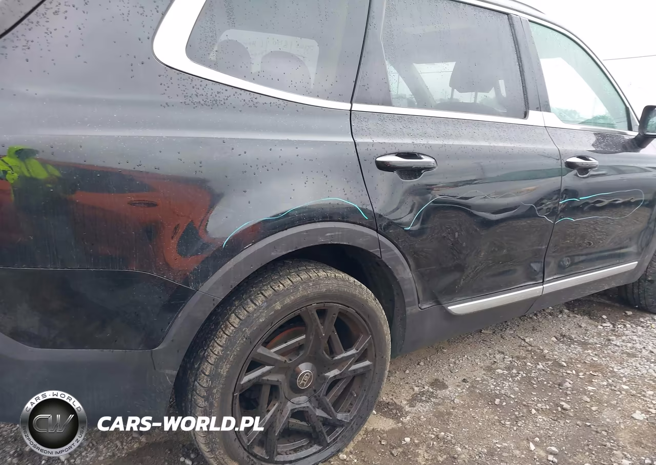 2020 Kia Telluride S VIN:5XYP6DHC7LG044143 - 17