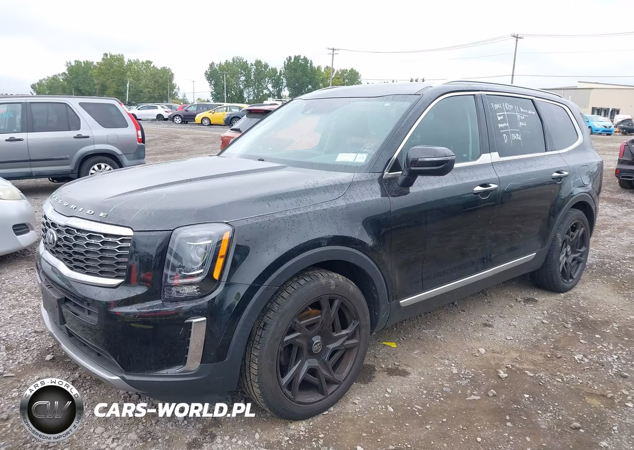 2020 Kia Telluride S VIN:5XYP6DHC7LG044143 - 2