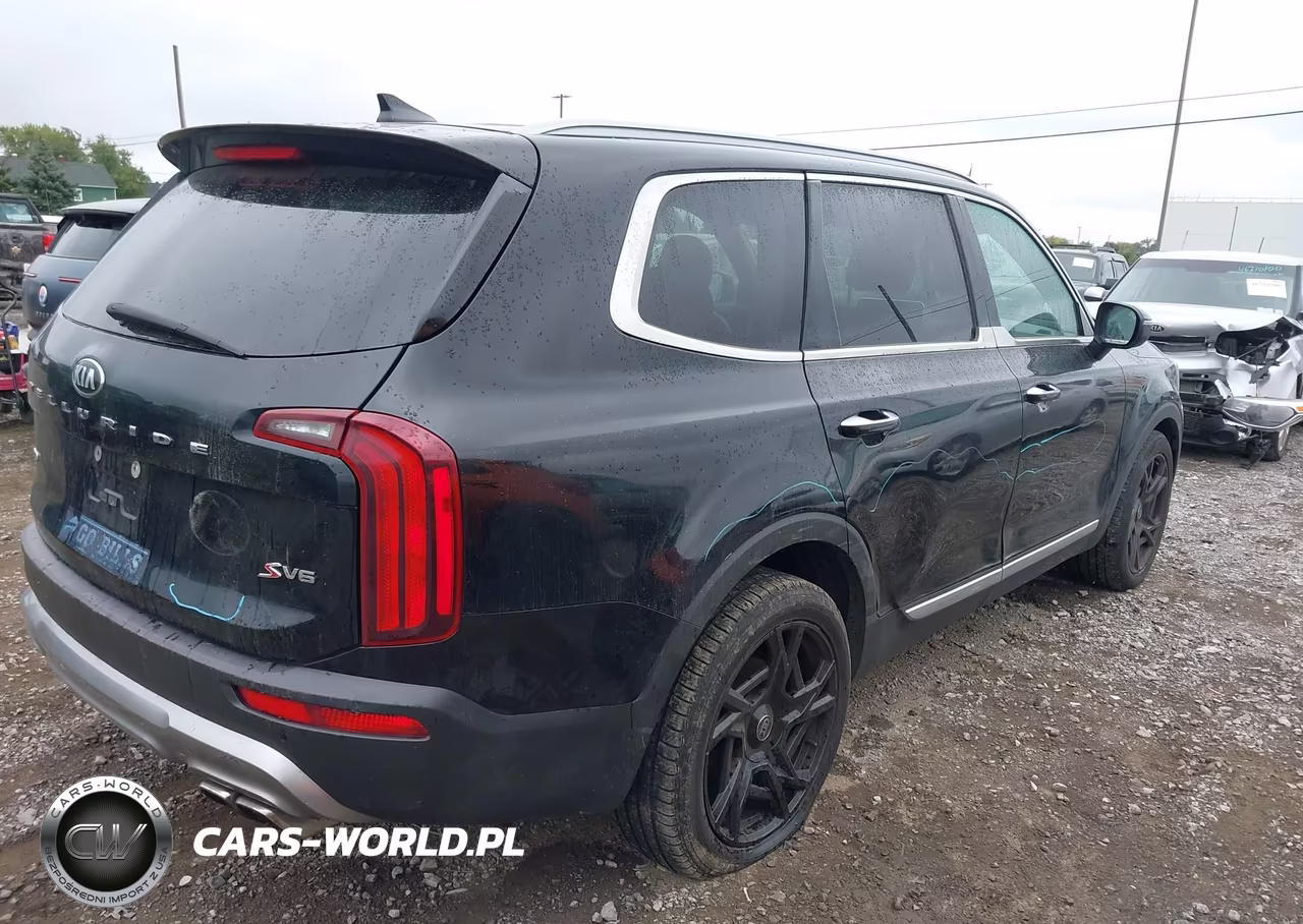 2020 Kia Telluride S VIN:5XYP6DHC7LG044143 - 4
