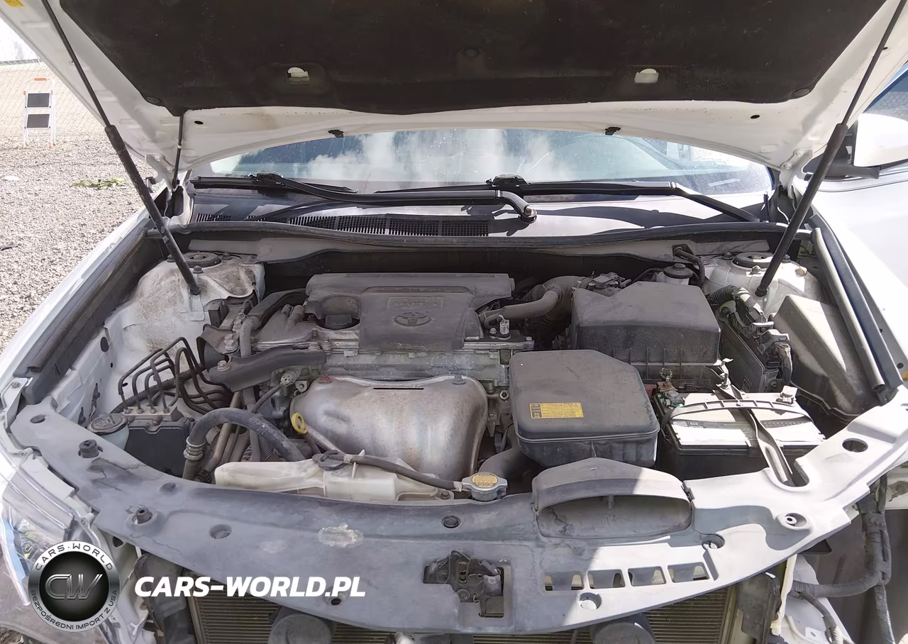 2014 Toyota Camry Se VIN:4T1BF1FK5EU303471 - 10