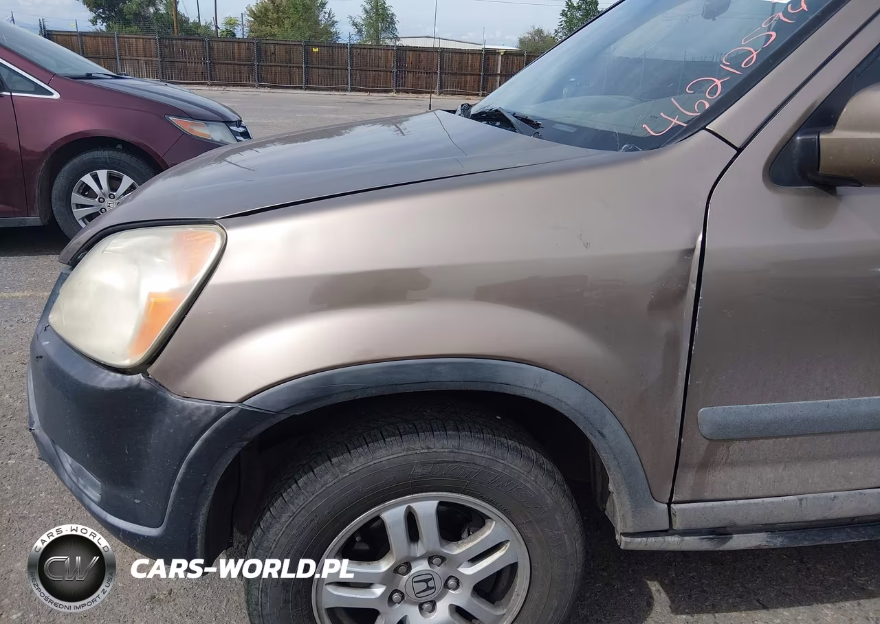 2004 Honda Cr-V Ex VIN:JHLRD788X4C016261 - 6