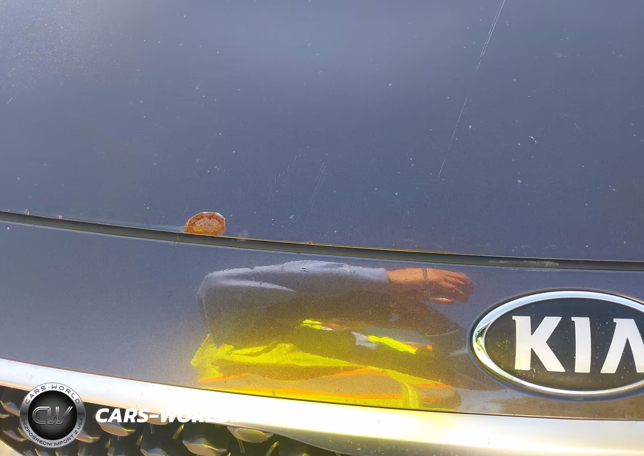 2018 Kia Sedona Lx VIN:KNDMB5C16J6349143 - 19