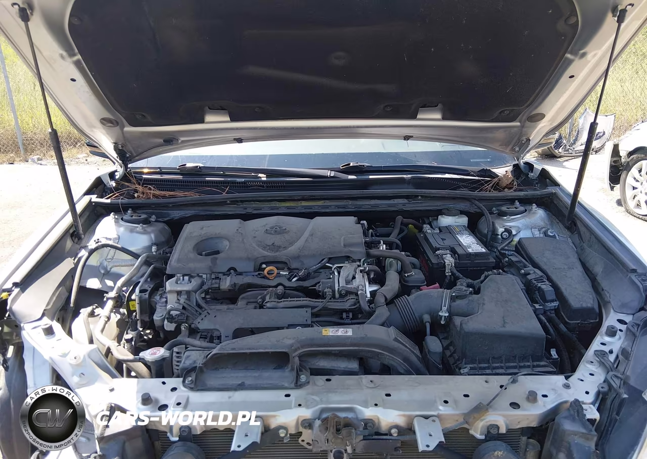 2019 Toyota Camry Se VIN:4T1B11HK0KU234194 - 10