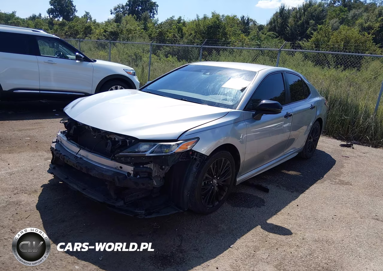 2019 Toyota Camry Se VIN:4T1B11HK0KU234194 - 2