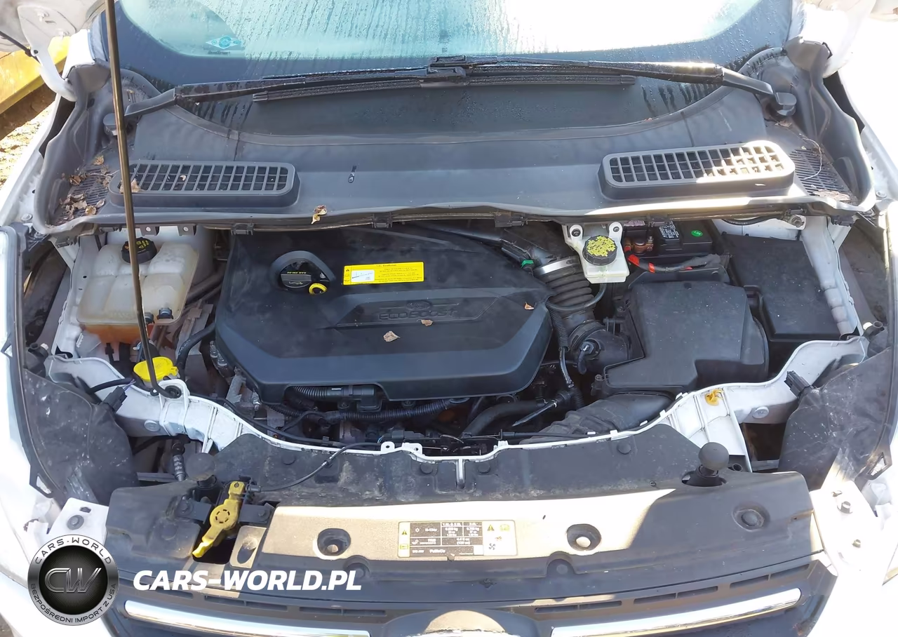 2015 Ford Escape Se VIN:1FMCU0GX9FUC34123 - 10