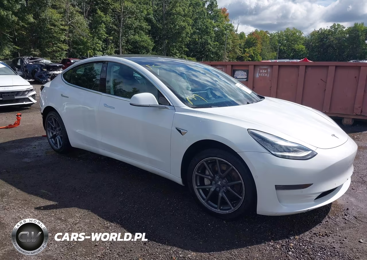 2019 Tesla Model 3 Long Range-Mid Range-Standard Range-Standard Range Plus