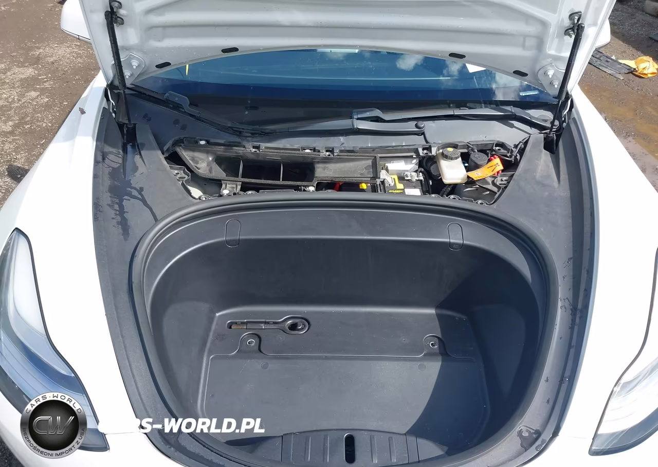 2019 Tesla Model 3 Long Range-Mid Range-Standard Range-Standard Range Plus VIN:5YJ3E1EA0KF484360 - 10