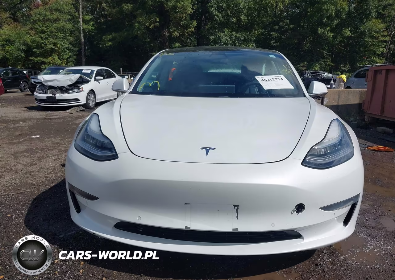 2019 Tesla Model 3 Long Range-Mid Range-Standard Range-Standard Range Plus VIN:5YJ3E1EA0KF484360 - 13