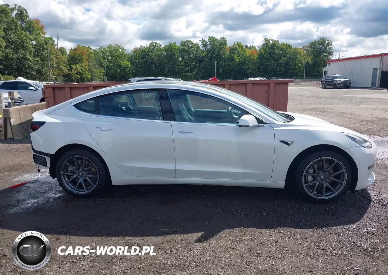 2019 Tesla Model 3 Long Range-Mid Range-Standard Range-Standard Range Plus VIN:5YJ3E1EA0KF484360 - 14