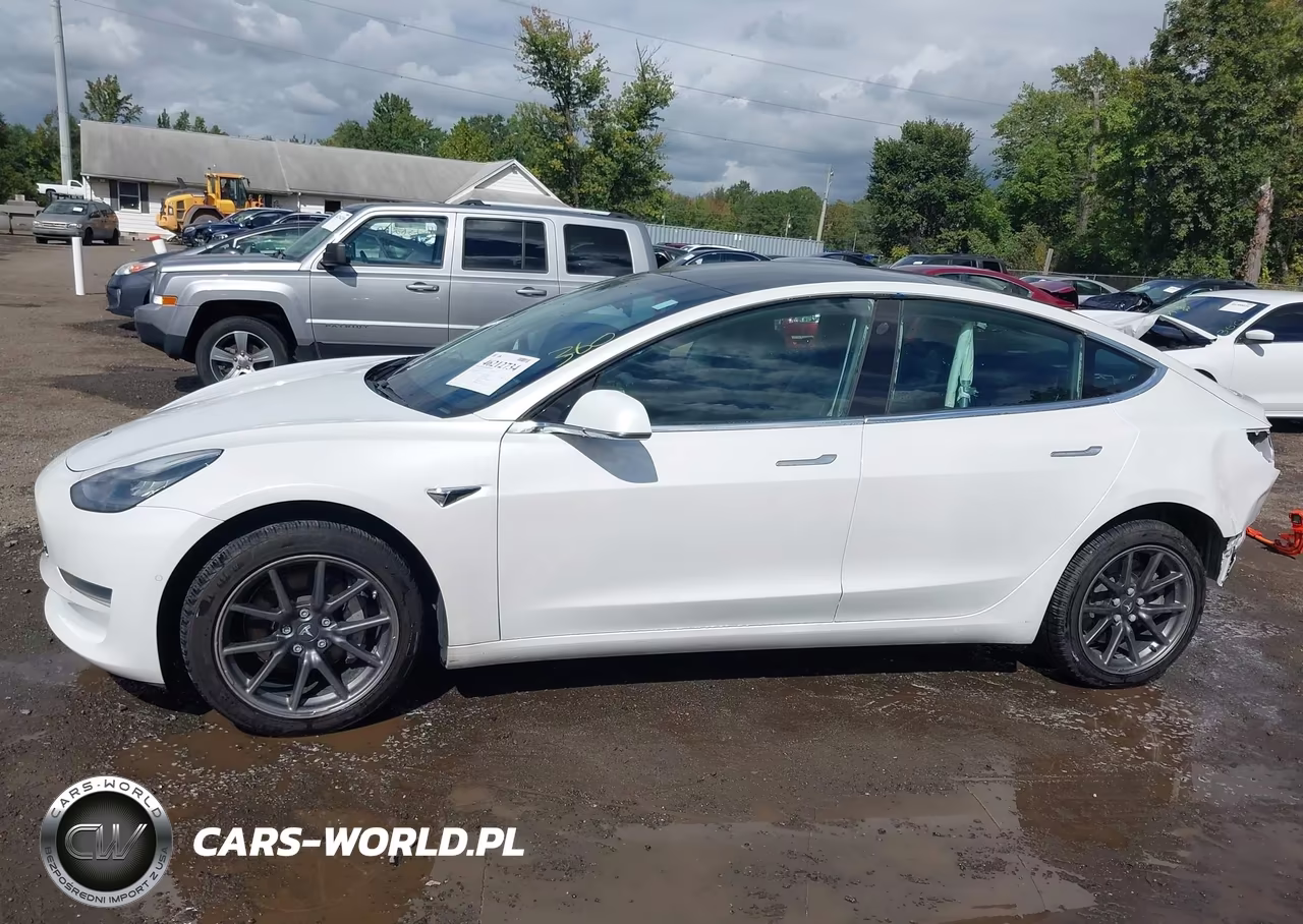 2019 Tesla Model 3 Long Range-Mid Range-Standard Range-Standard Range Plus VIN:5YJ3E1EA0KF484360 - 15