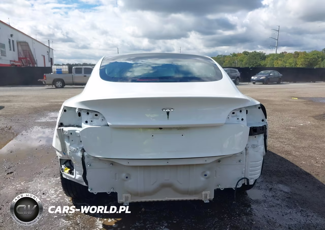 2019 Tesla Model 3 Long Range-Mid Range-Standard Range-Standard Range Plus VIN:5YJ3E1EA0KF484360 - 17