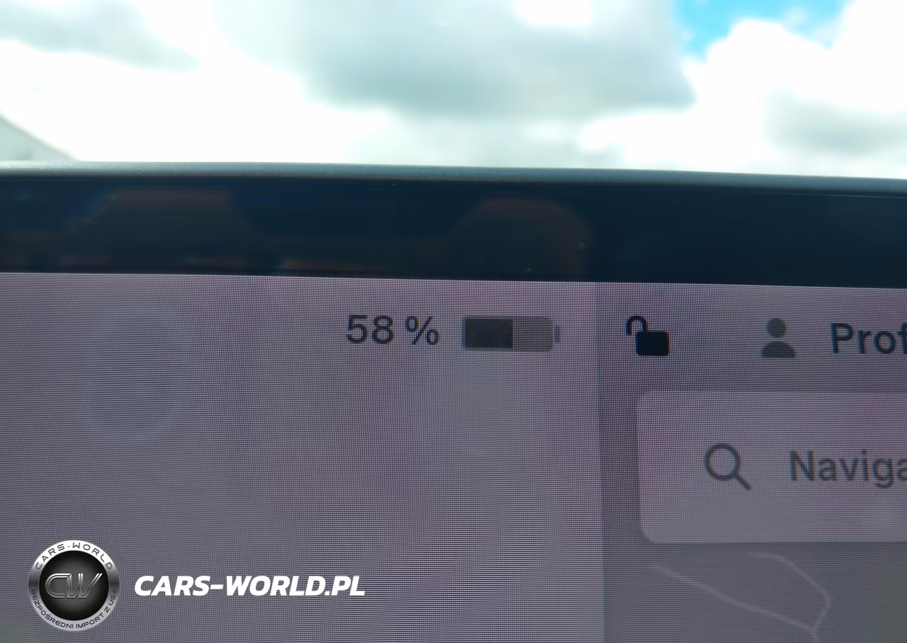2019 Tesla Model 3 Long Range-Mid Range-Standard Range-Standard Range Plus VIN:5YJ3E1EA0KF484360 - 18