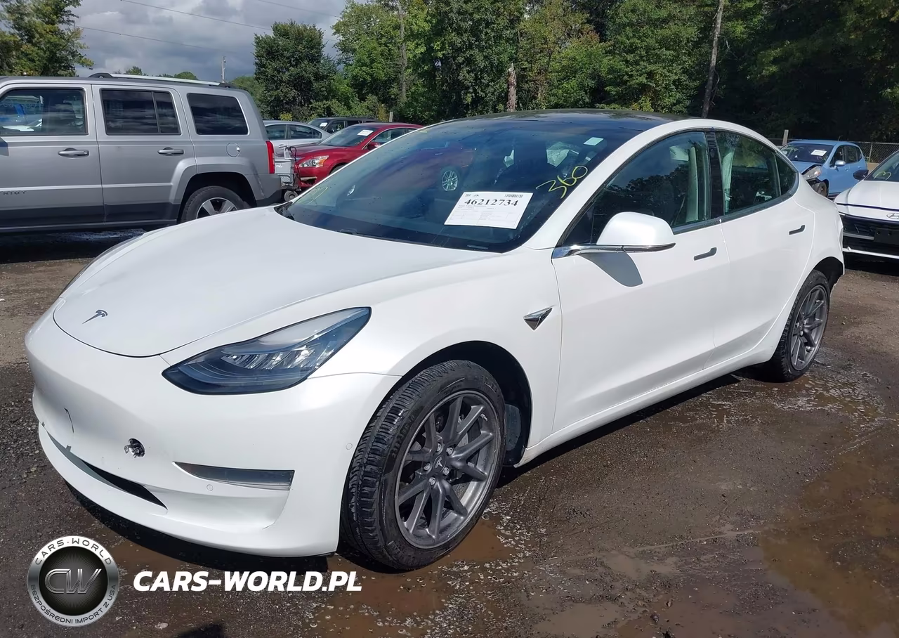 2019 Tesla Model 3 Long Range-Mid Range-Standard Range-Standard Range Plus VIN:5YJ3E1EA0KF484360 - 2