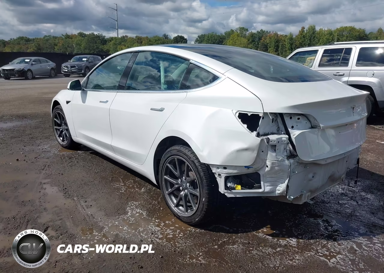 2019 Tesla Model 3 Long Range-Mid Range-Standard Range-Standard Range Plus VIN:5YJ3E1EA0KF484360 - 3