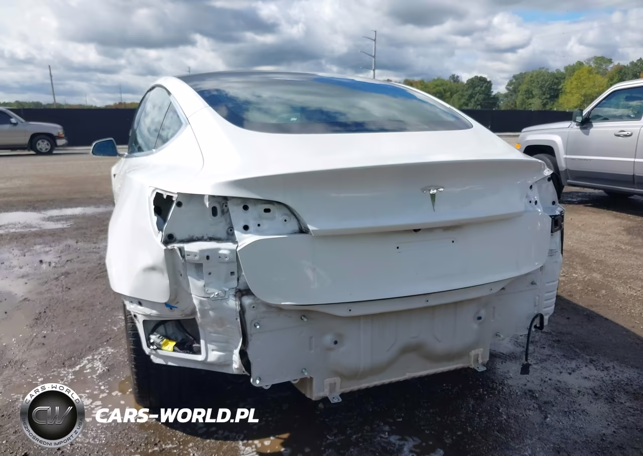 2019 Tesla Model 3 Long Range-Mid Range-Standard Range-Standard Range Plus VIN:5YJ3E1EA0KF484360 - 6