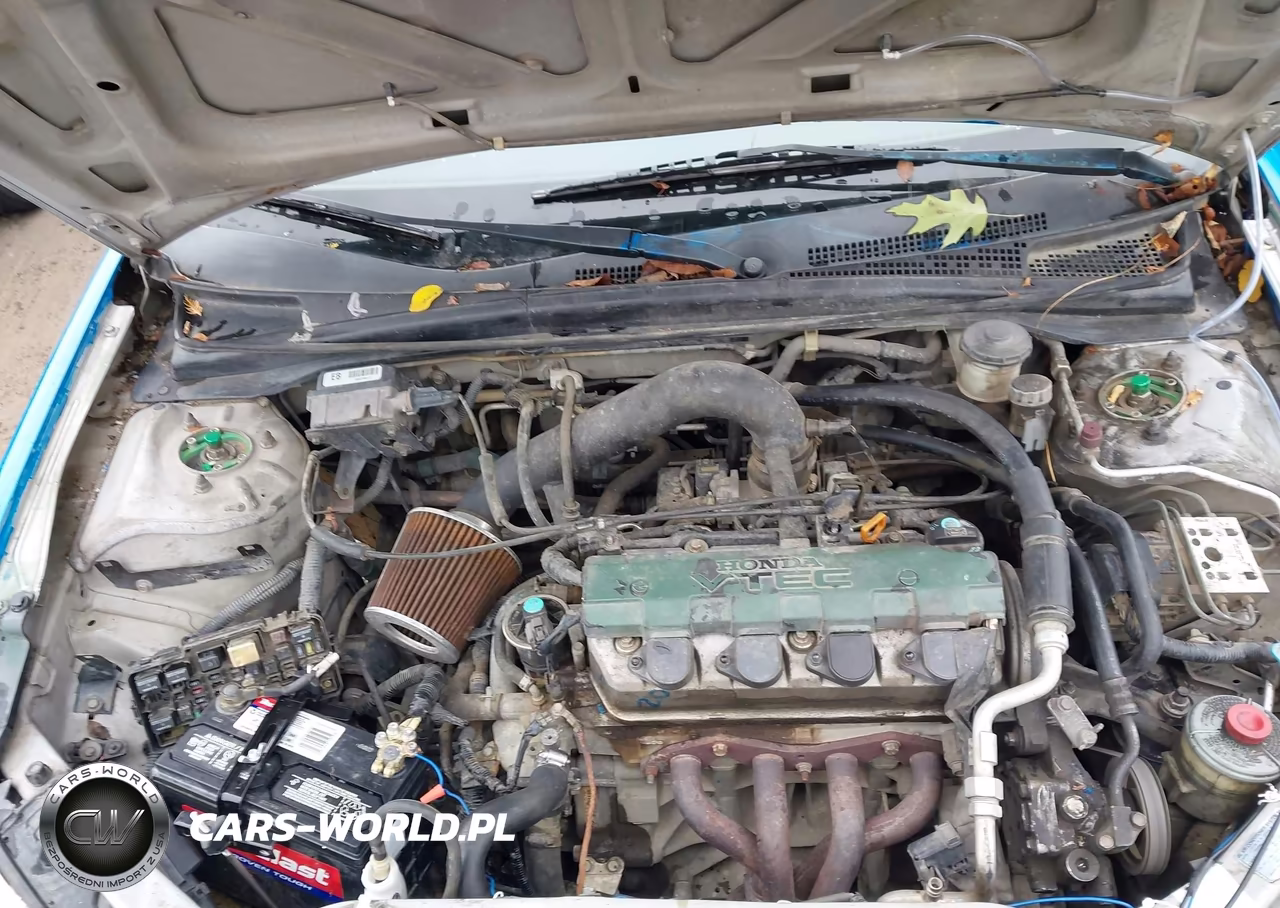 2004 Honda Civic Ex VIN:1HGEM21984L050279 - 10