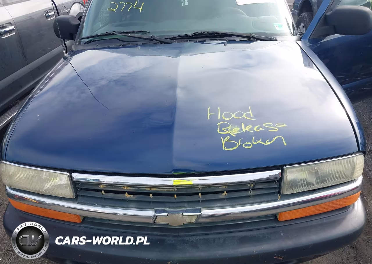 2004 Chevrolet S-10 Ls VIN:1GCDT13XX4K131678 - 10