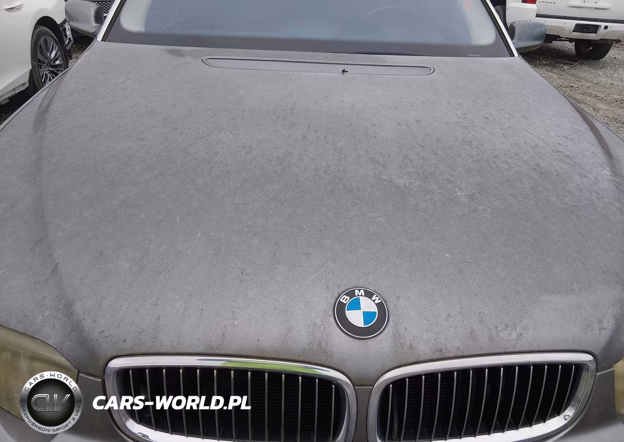 2004 BMW 745Li VIN:WBAGN63474DS49411 - 13