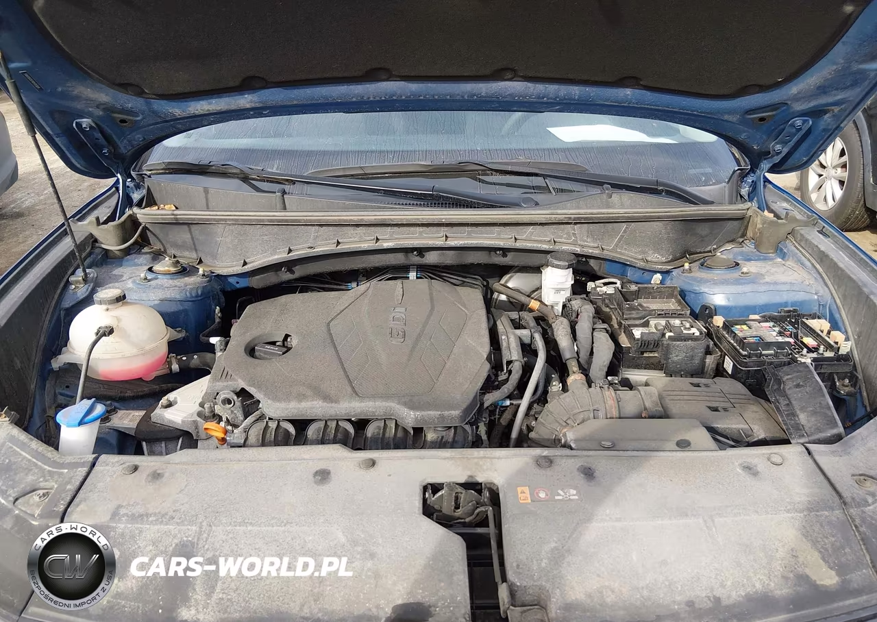2024 Hyundai Tucson Sel VIN:5NMJB3DEXRH353834 - 10