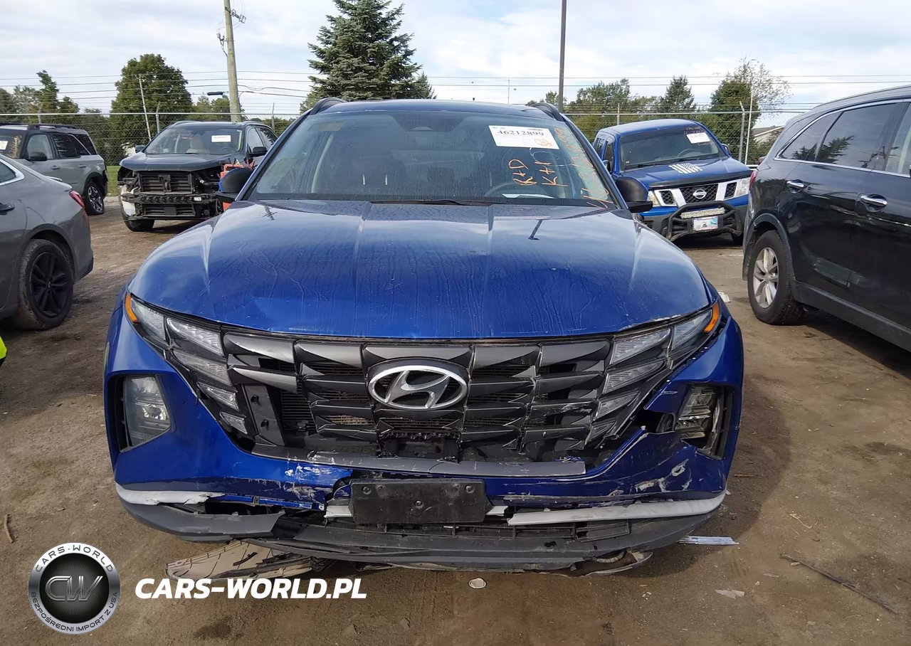 2024 Hyundai Tucson Sel VIN:5NMJB3DEXRH353834 - 12