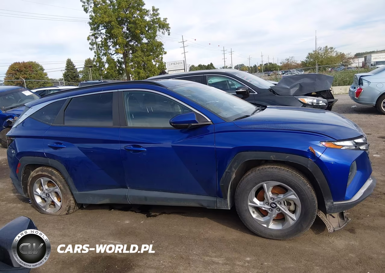 2024 Hyundai Tucson Sel VIN:5NMJB3DEXRH353834 - 13