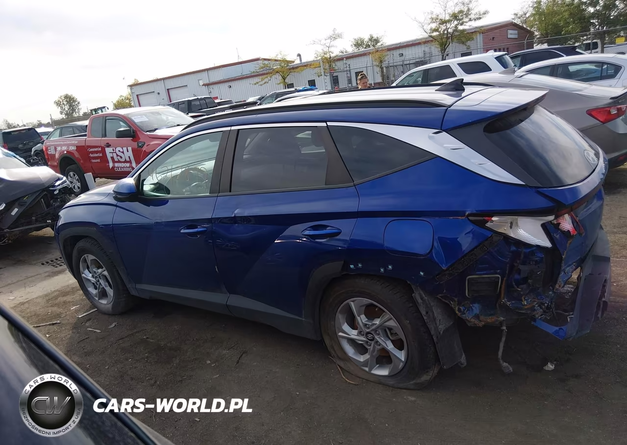 2024 Hyundai Tucson Sel VIN:5NMJB3DEXRH353834 - 14