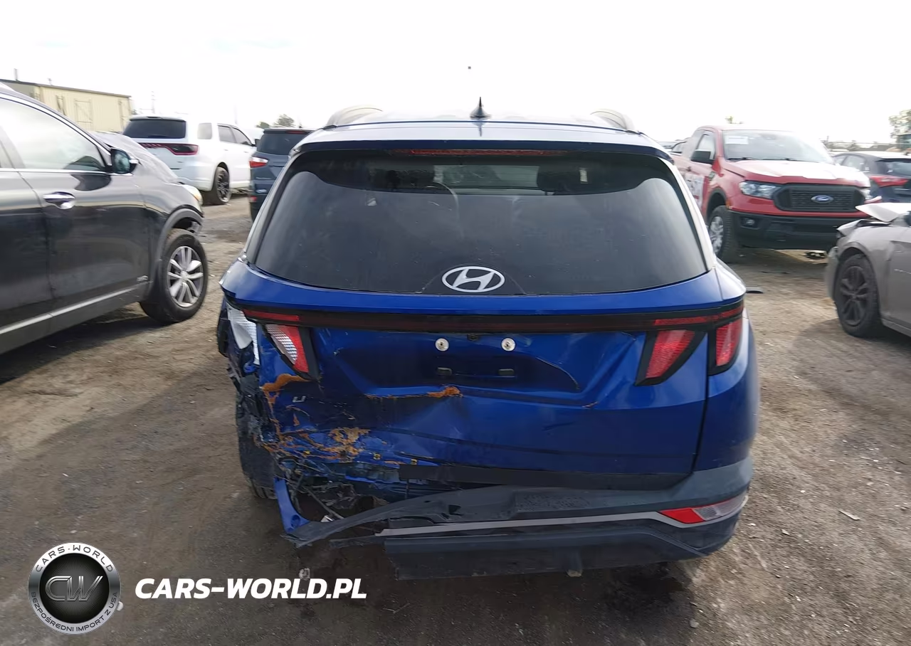 2024 Hyundai Tucson Sel VIN:5NMJB3DEXRH353834 - 16