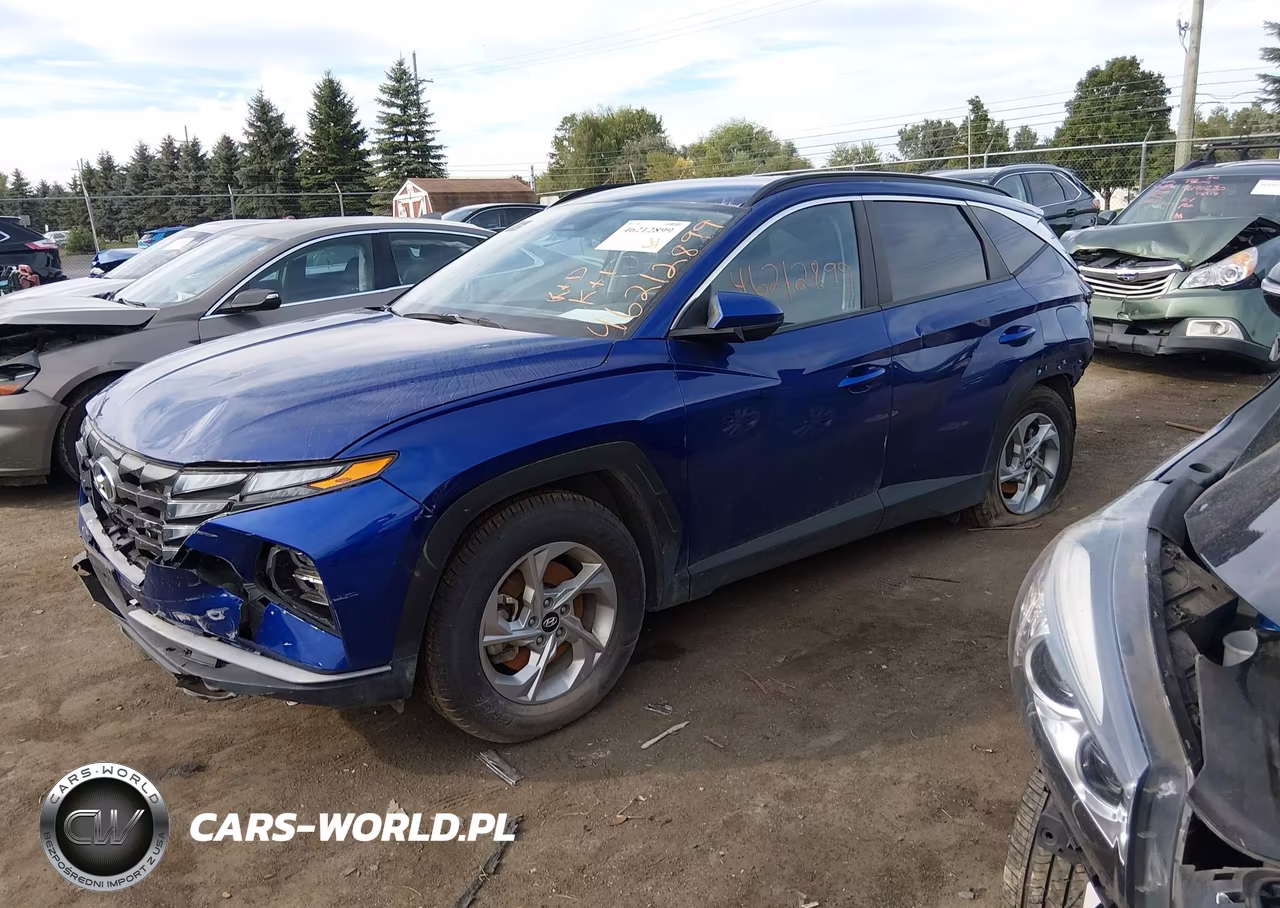 2024 Hyundai Tucson Sel VIN:5NMJB3DEXRH353834 - 2