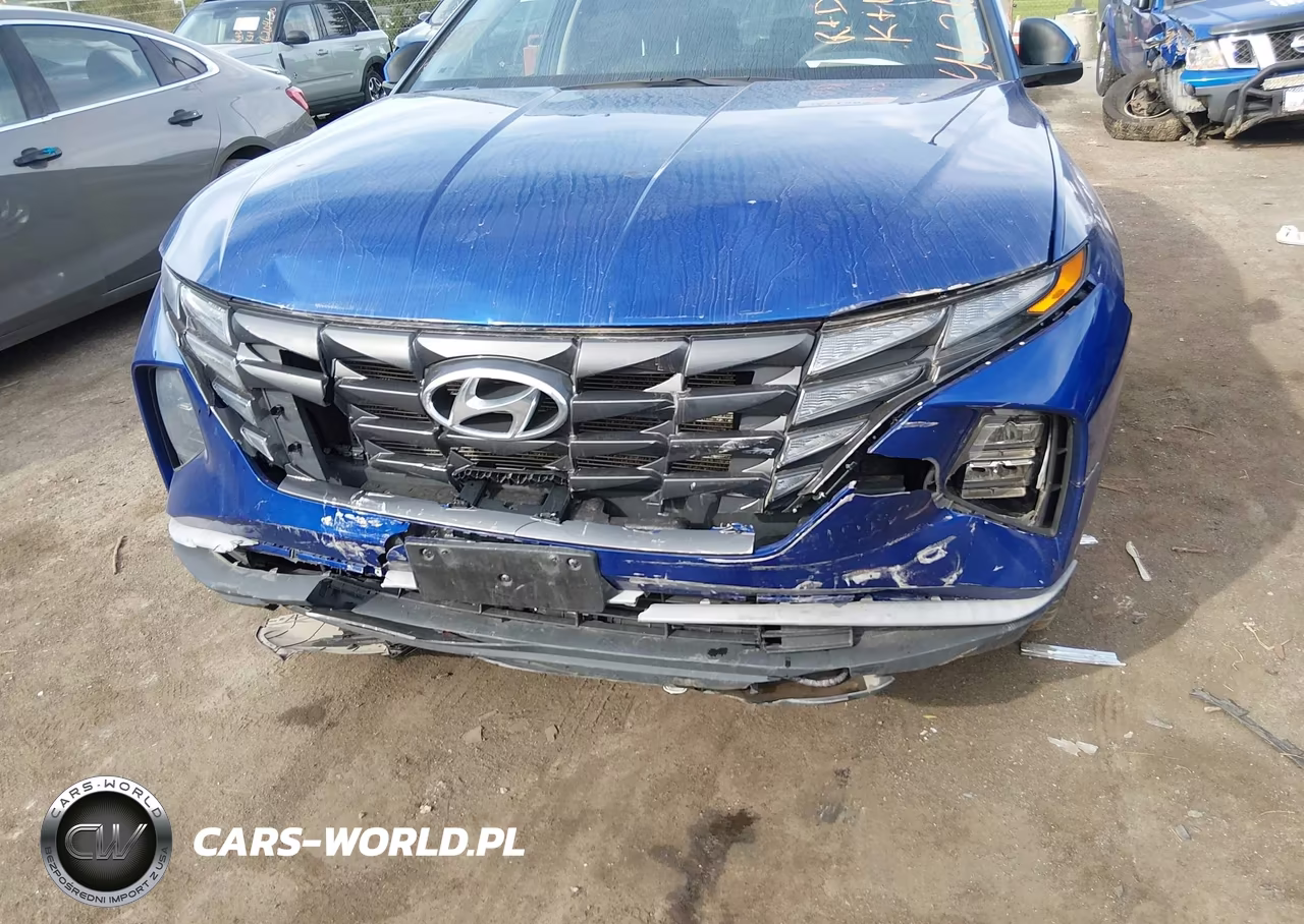 2024 Hyundai Tucson Sel VIN:5NMJB3DEXRH353834 - 6