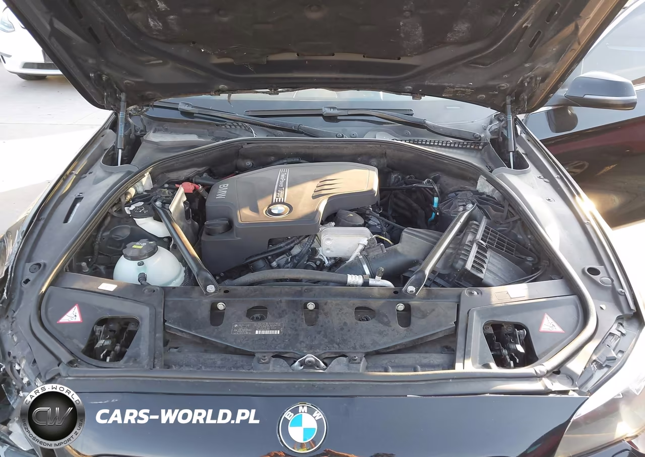 2014 BMW 528I VIN:WBA5A5C57ED509250 - 10